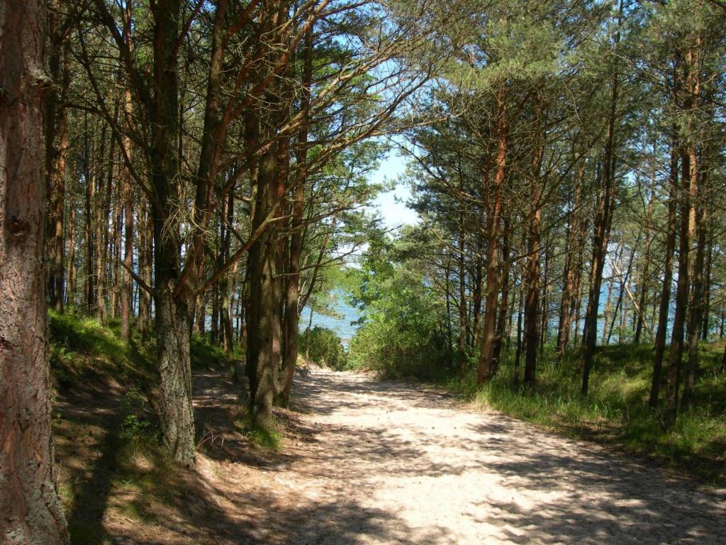 Osrodek Wypoczynkowy Amber Vila Kąty Rybackie Exterior foto