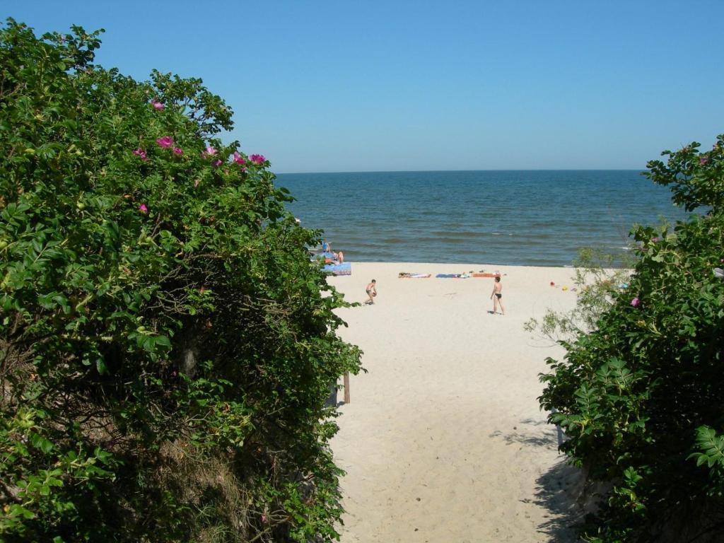Osrodek Wypoczynkowy Amber Vila Kąty Rybackie Exterior foto