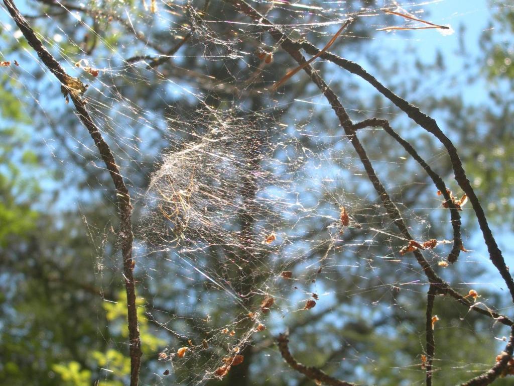 Osrodek Wypoczynkowy Amber Vila Kąty Rybackie Exterior foto