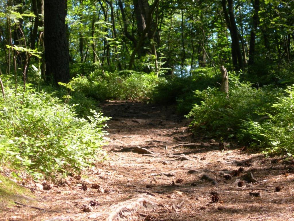 Osrodek Wypoczynkowy Amber Vila Kąty Rybackie Exterior foto